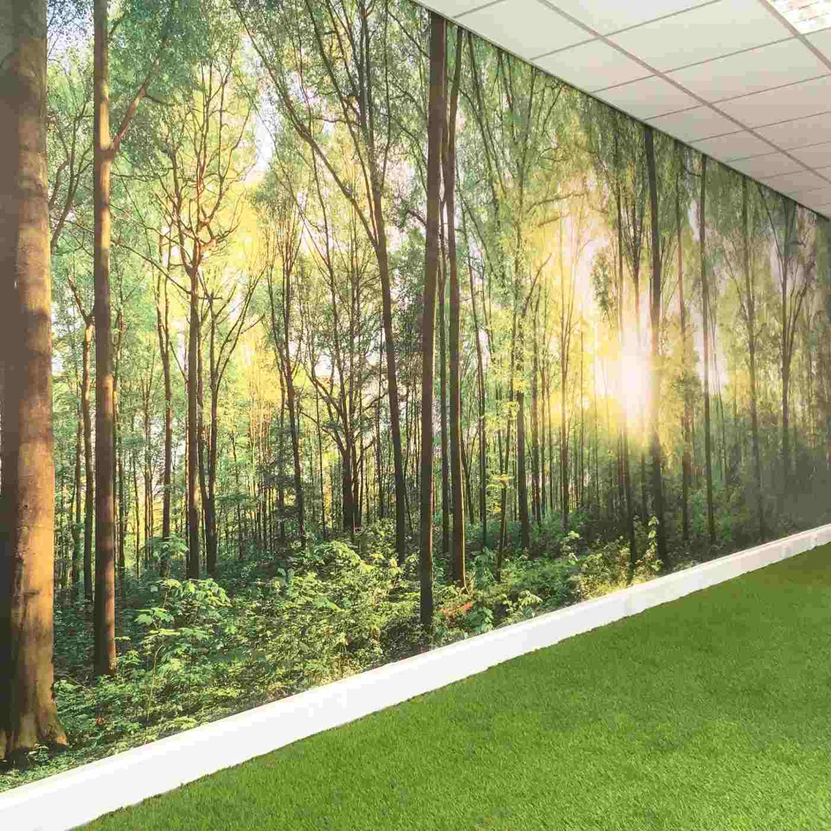 Forest wall mural in an interior, from the Metamark WallArt gallery.