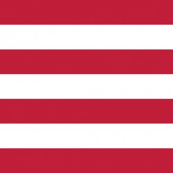 Pattern HTV - Red Stripes - 12" x 15" Sheet
