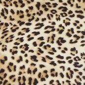 Pattern HTV - Panther - 12" x 15" Sheet